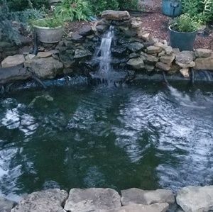 Meet your Posher, Paula